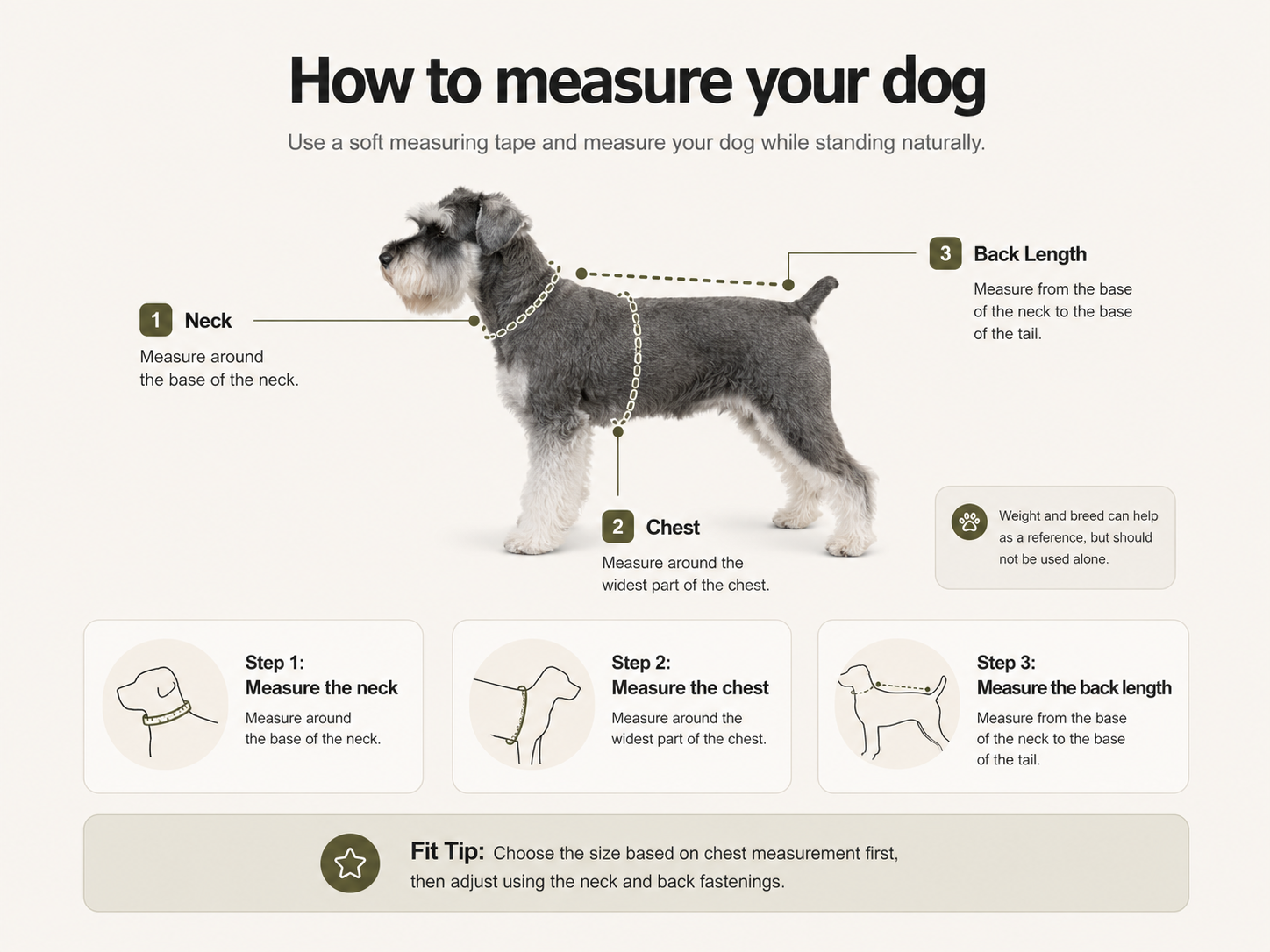 How to measure your dog size guide